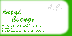 antal csenyi business card